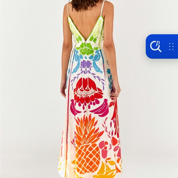 FARM Rio Multicolor Floral Maxi Dress - Picture 5 of 5